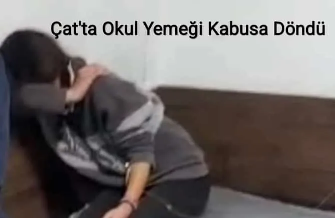 Çat