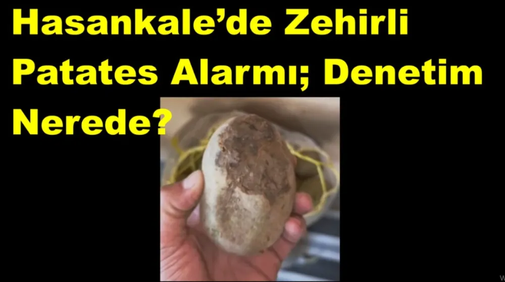 Hasankale’de Zehirli Patates Alarmı: Denetim Nerede?