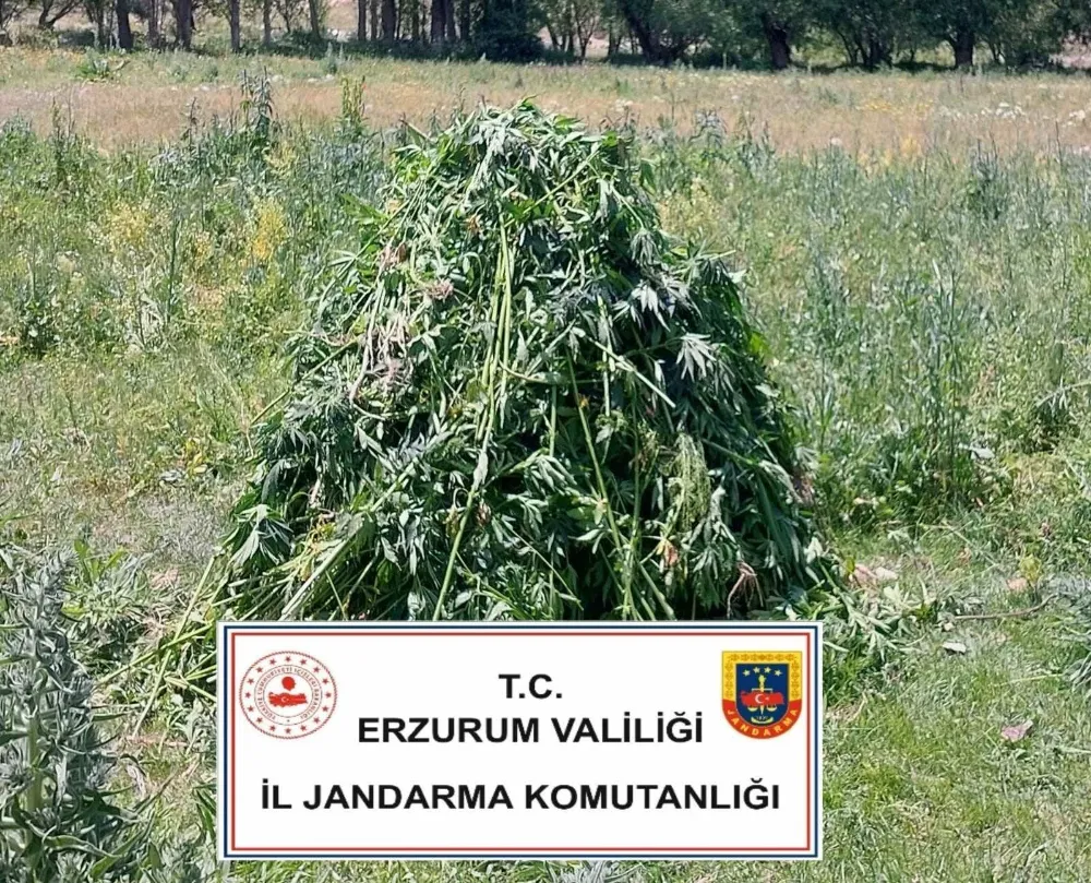 Erzurum’da Büyük Uyuşturucu Operasyonu!