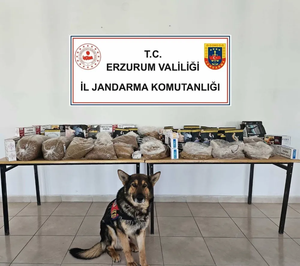 Erzurum
