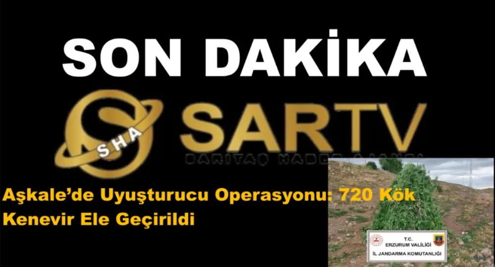 Aşkale’de Uyuşturucu Operasyonu: 720 Kök Kenevir Ele Geçirildi