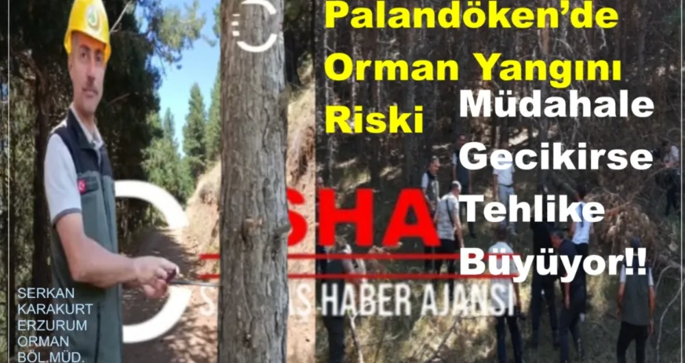 Palandöken’de Orman Yangını Riski: Müdahale Gecikirse Tehlike Büyüyor